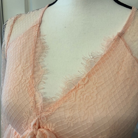 NWT Francesca's pink sheer lace babydoll long sleeve top fairy core size S - Picture 9 of 16